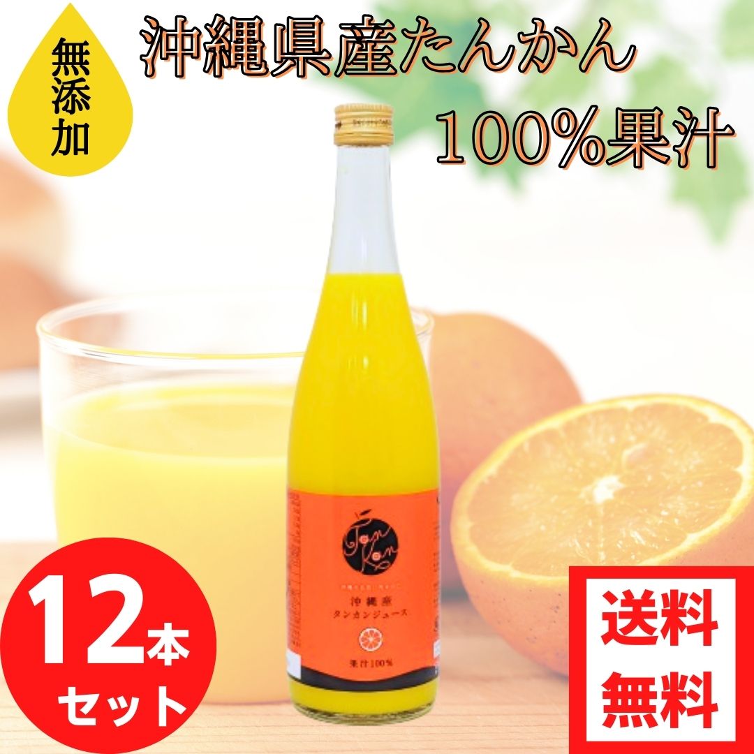 沖縄県産タンカンジュース2L☓2本 沖縄県産タンカン果汁100%2000ml 2本セット 業務用サイズ | 沖縄