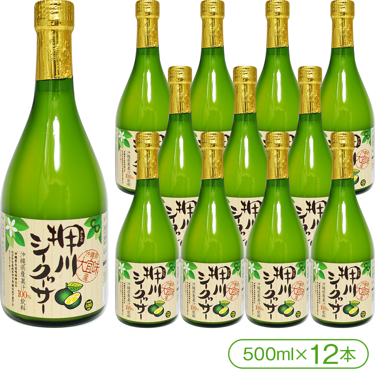 【沖縄県大宜味村産】 押川シークヮーサー（500ml×12本） 【シークワーサー ノビレチン クエン酸 沖縄】