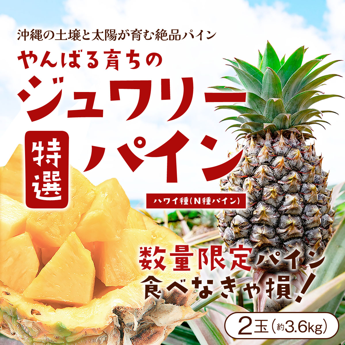 ぱいなっぷる* 楽天市場】沖縄産パイナップルジューシーパインスムースカイエン