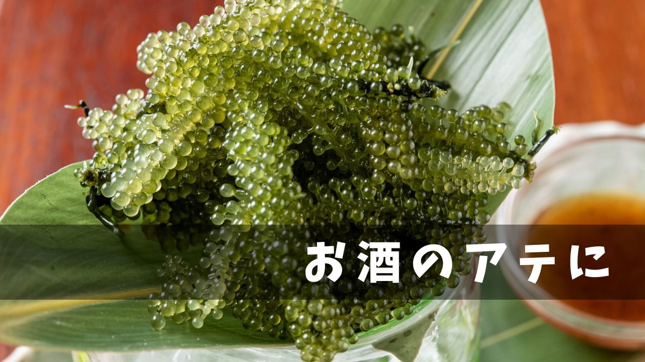 楽天市場 母の日 ギフト タレ付 産直 生 海ぶどう 500g 沖縄県産 送料無料 海ブドウ クビレズタ 沖縄料理 沖縄食材 刺し身 美味しい 海藻 水産 沖縄 お土産 うみぶどう 寿司 食感 酢飯 丼 ヘルシー 低カロリー ミネラル 5のつく日 お買い物マラソン ウミブドウ 楽天