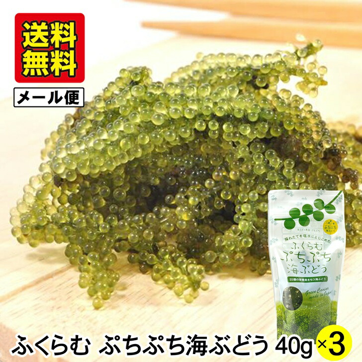海ぶどう(茎付き) 奥武島産 ぷちぷち 2キロ 海ぶどう(茎付き) 奥武島産 ぷちぷち 2キロ - メルカリ