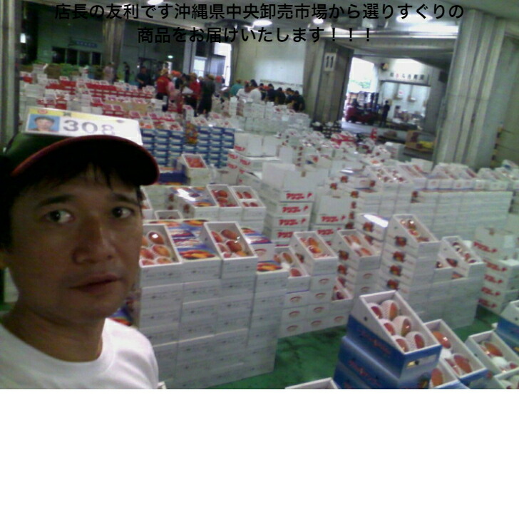 【楽天市場】沖縄県産 冷凍マンゴー ( アップル マンゴー ) 1kg 全国 送料無料：沖縄マンゴー＆フローズンスイーツ