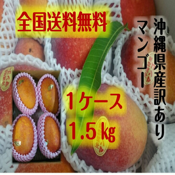 驚きの値段で 沖縄県産 訳あり マンゴー 1.5ｋｇ全国 送料無料 3 600円 whitesforracialequity.org