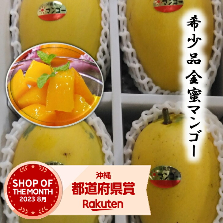 沖縄県産 マンゴー 金蜜 冷凍１ｋg スライス