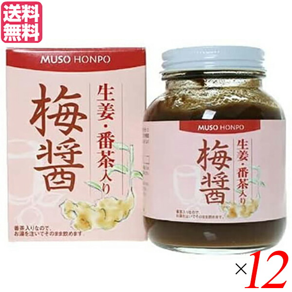【マラソン限定！ポイント2倍！】梅醤 梅びしお 梅醤番茶 ムソー 無双本舗 生姜 番茶入り梅醤 ２５０ｇ 12個セット 送料無料