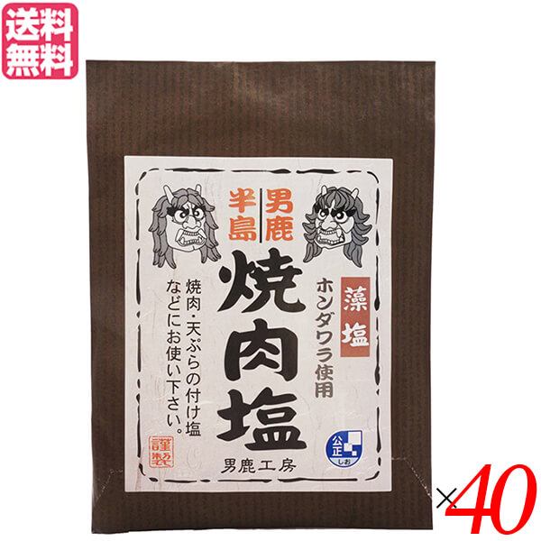【マラソン限定！ポイント2倍！】塩 天然塩 食塩 男鹿半島 焼肉塩 40g 40個セット 男鹿工房 送料無料