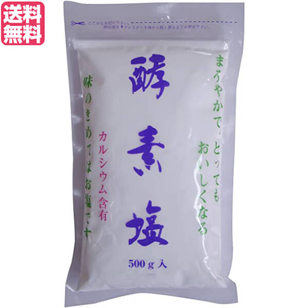 最大18倍 塩 天日塩 天然 酵素塩 500g 送料無料 高い品質