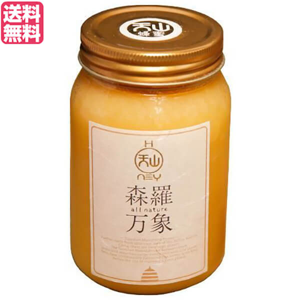 【マラソン限定！ポイント2倍！】はちみつ ハチミツ ハニー 森羅万象 天山蜂蜜 600g 送料無料 11,502円