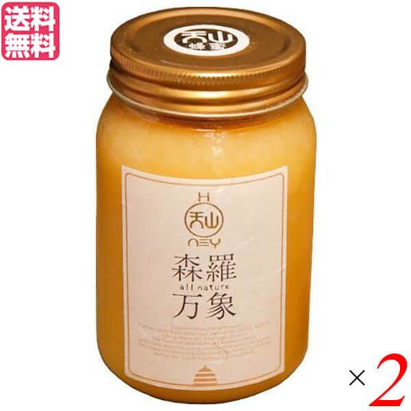 【マラソン限定！ポイント2倍！】はちみつ ハチミツ ハニー 森羅万象 天山蜂蜜 600g 2個セット 送料無料