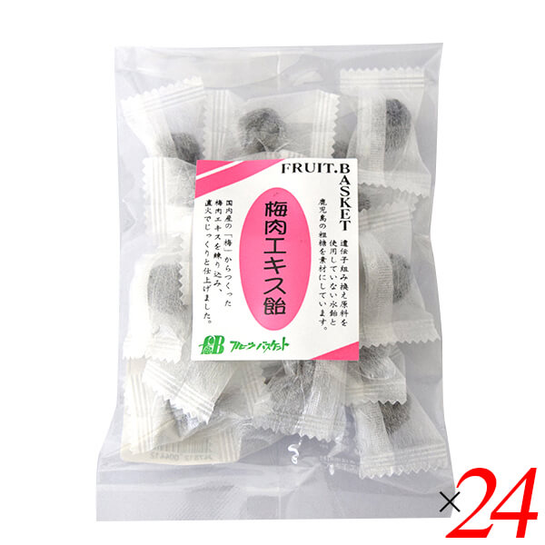 梅飴 梅 飴 フルーツバスケット 梅肉エキス飴 80g 24個セット 送料無料画像