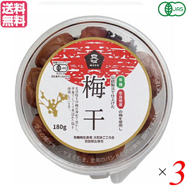 楽天市場】【ポイント5倍】最大31倍！ねり梅 練り梅 無添加 ムソー 有機ねり梅 100g 送料無料 : ダイエットラボ