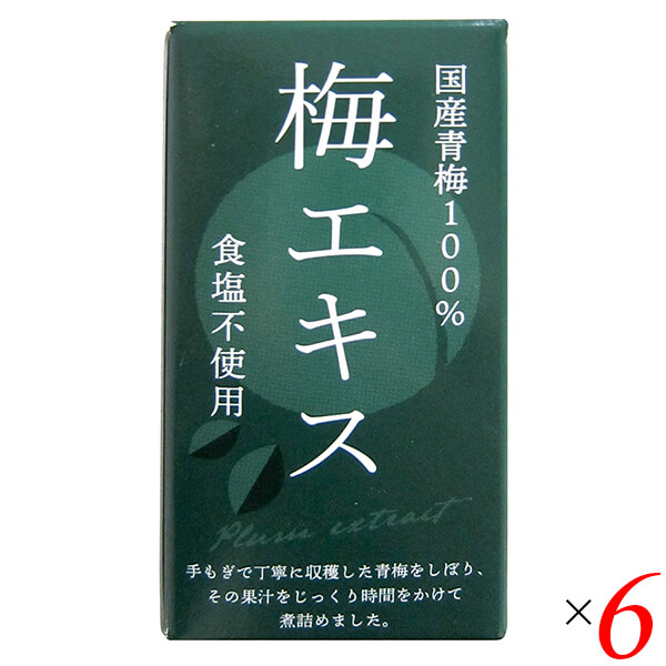 【マラソン限定！100円クーポン】梅 青梅 ペースト 特別栽培梅エキス 王隠堂 65g 6個セット 送料無料