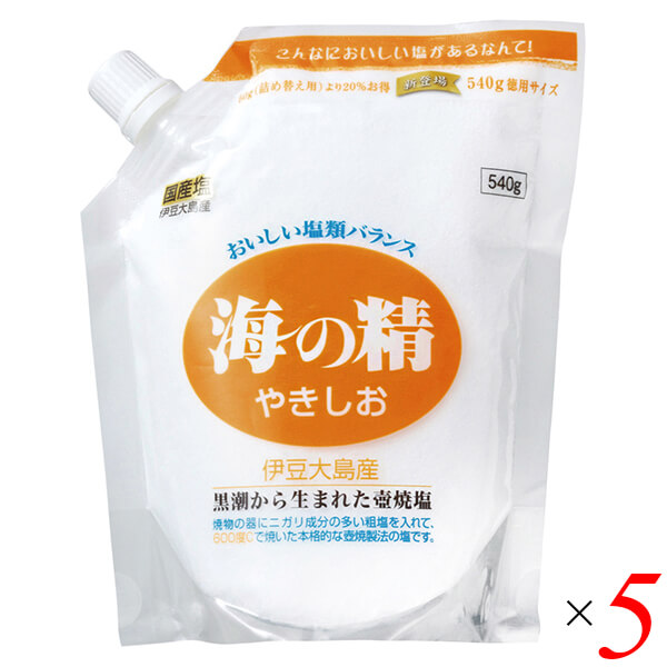 【マラソン限定！ポイント2倍！】塩 天然塩 天日 海の精 やきしお（スタンドパック）540g 5個セット 送料無料