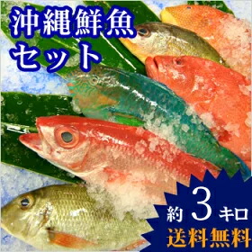 【楽天市場】アカマチ（ハマダイ）1.5〜2kg下処理価格 : 沖縄海鮮問屋