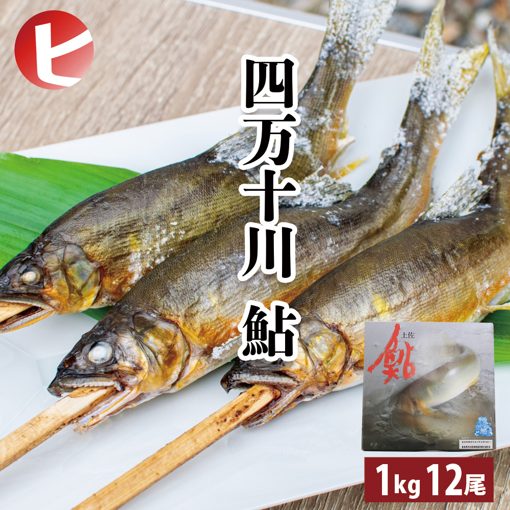 ☘️【希少・送料無料・匿名配送】 四国の川釣り アユ アマゴ