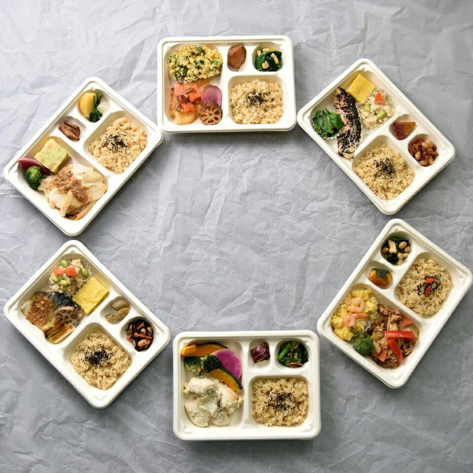 ととのう弁当 6食セット<br>冷食 弁当 ワンプレート 美味しい 冷凍弁当 セット お弁当 冷凍セット 低糖質食品 健康 糖質 おいしい冷凍食品 低糖質 簡単ご飯 お皿がいらない 冷凍食品 栄養 おかず 玄米ご飯 玄米ごはん 健康志向 ギフト 食べ物 簡単調理 レンチン弁当