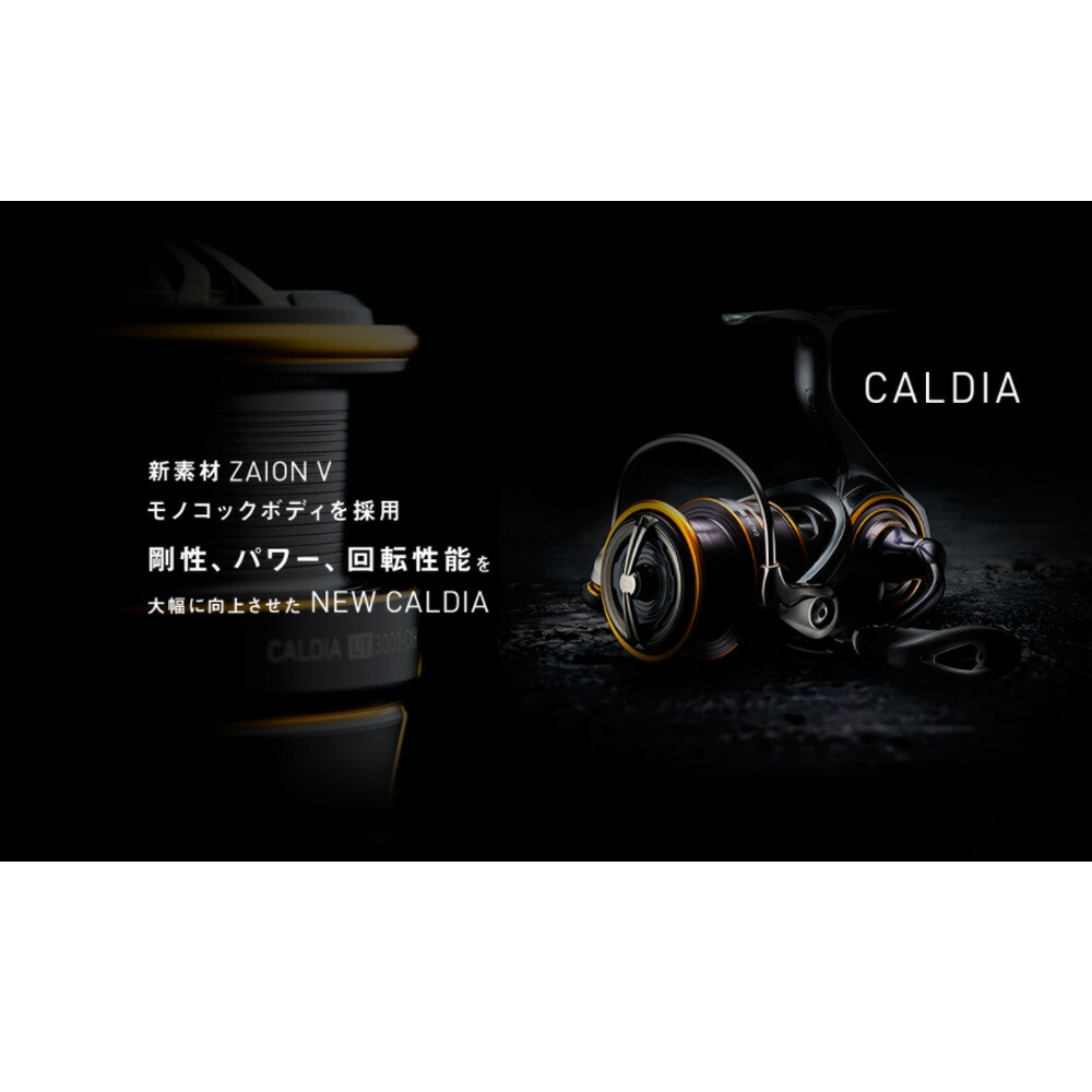 早者勝ち Daiwa 21 Caldia Fc Lt2500s Da カルディア エギング メバリング アジング フロートリグ バスフィッシング ライトリグ用スピニング バス用スピニング スピニングリール 好評につき延長 Baanorachon Com