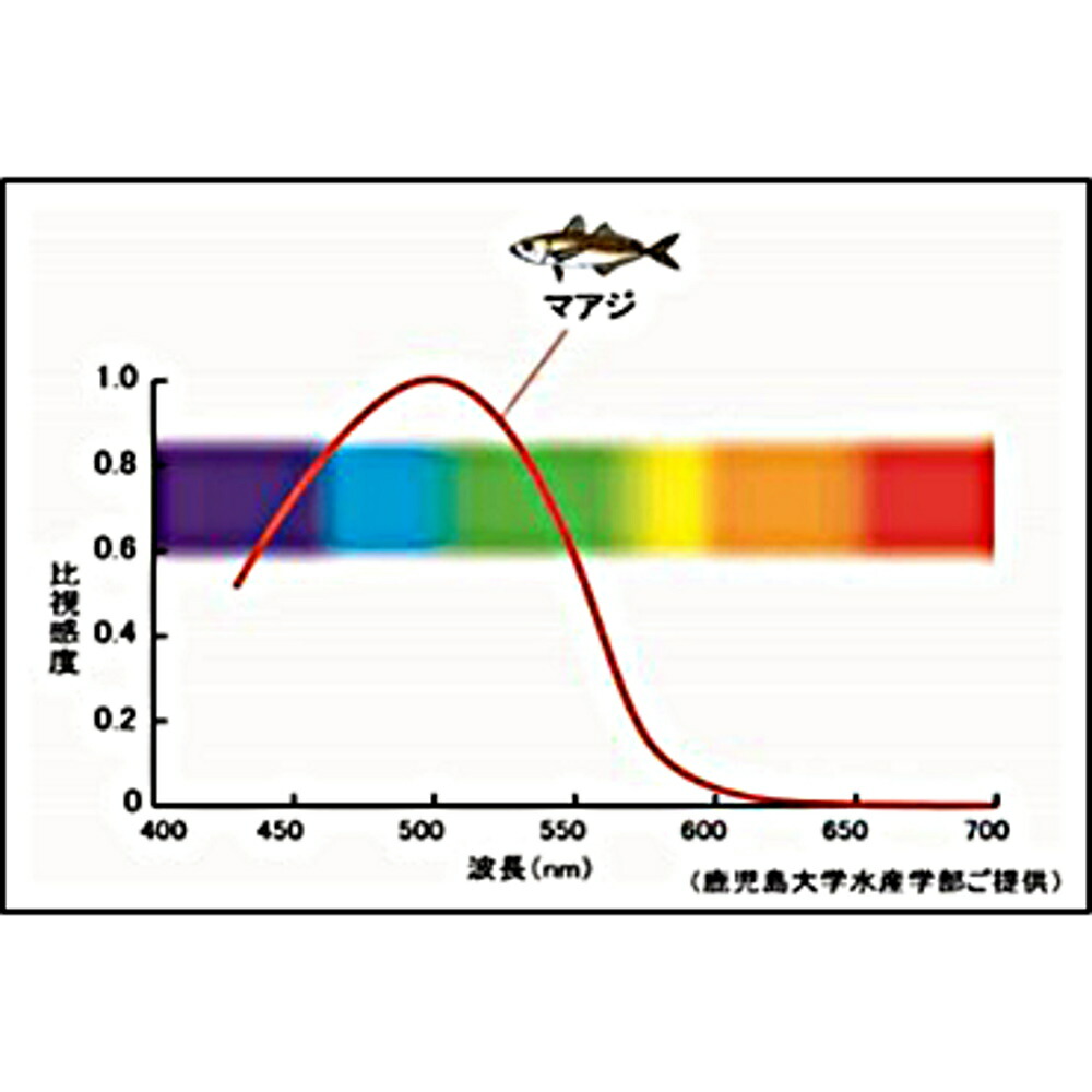 新品本物 Hapyson Yf 501 乾電池式高輝度led水中集魚灯 Hapyson 船釣り 深海釣り ソデイカ アジ イワシ ヒイカ 集魚灯 集魚ライト 時間指定不可 Secretoftheislands Com