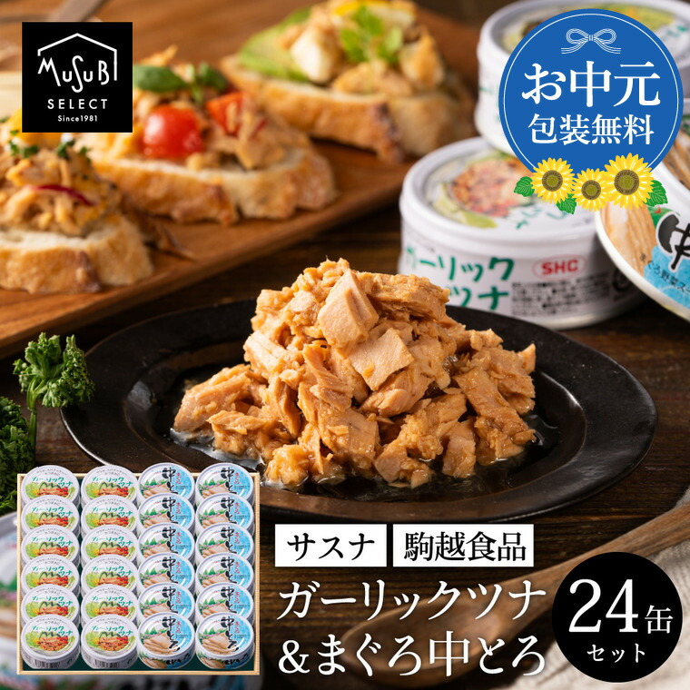 ツナ缶 ツナ缶 綱一番 ライトツナ まぐろフレーク 缶詰 185g 48缶 業務