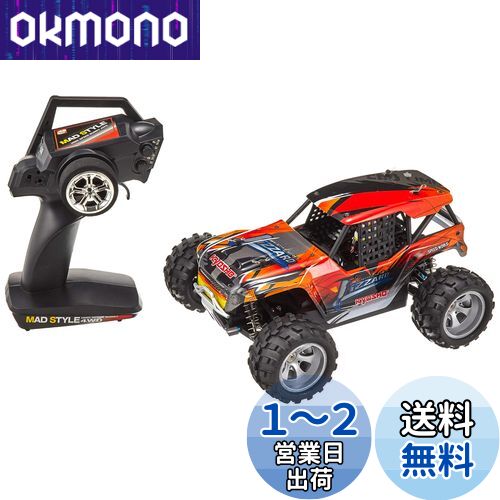 RC1/16スケール マッドスタイルシリーズ リザード