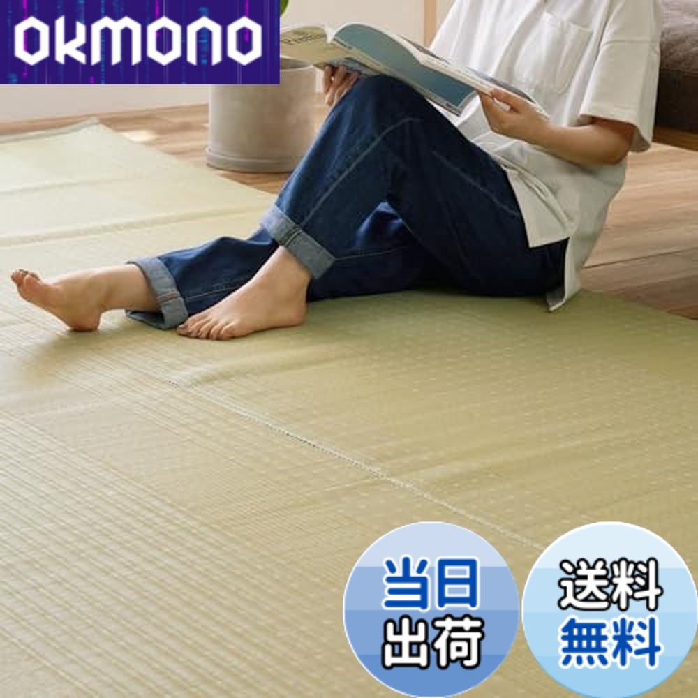 【貨物輸送無料】萩原(Hagihara) 洗える い草風引っ敷き 涼風