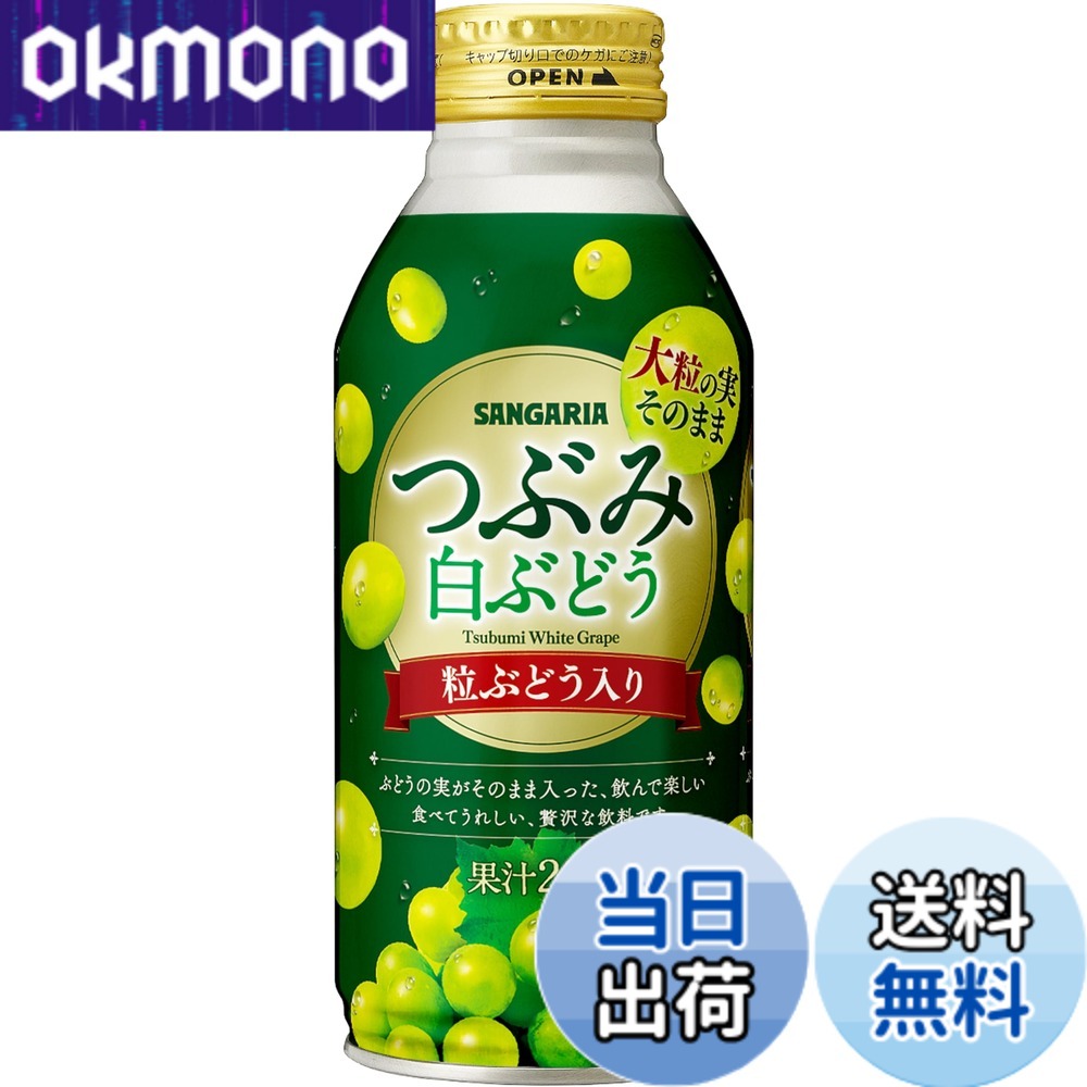 【送料無料】サンガリア つぶみ白ぶどう 380g x24本