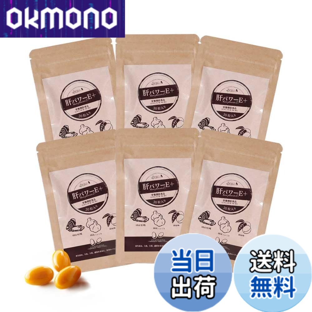 【貨物輸送無料】【まとめてお得！】中心柱漢方 肝力強さE+（30粒x6袋）