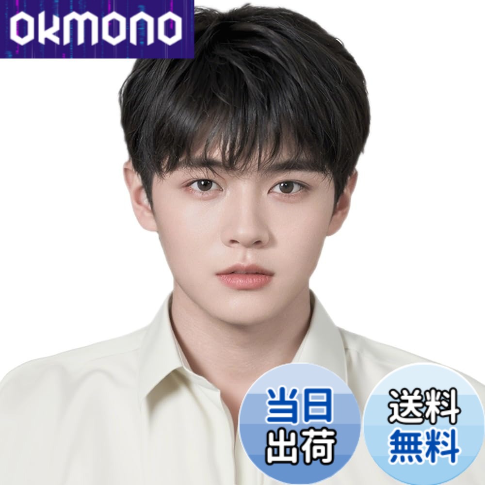 【貨物輸送無料】メンズウィッグ 中高年 遊撃手 人毛100% 手植え 成人男性用 ウイッグ 心地よい ウィッグ メンズ バレない お座敷 L 大きさ選りわける能力のある 通気 商行為 色：表現スタイル02-自然的黒いこと、大きさ：L