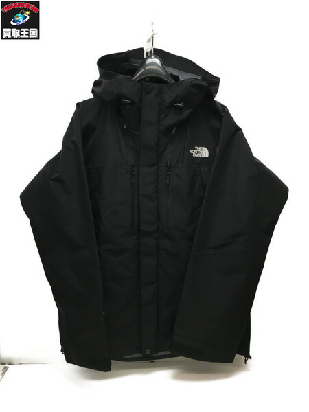 north face gore tex pro