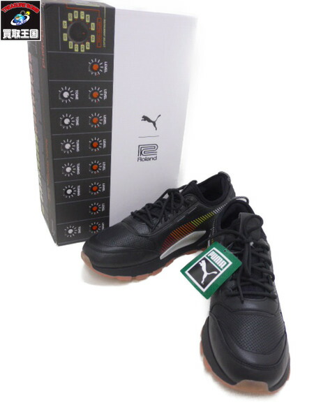 roland puma