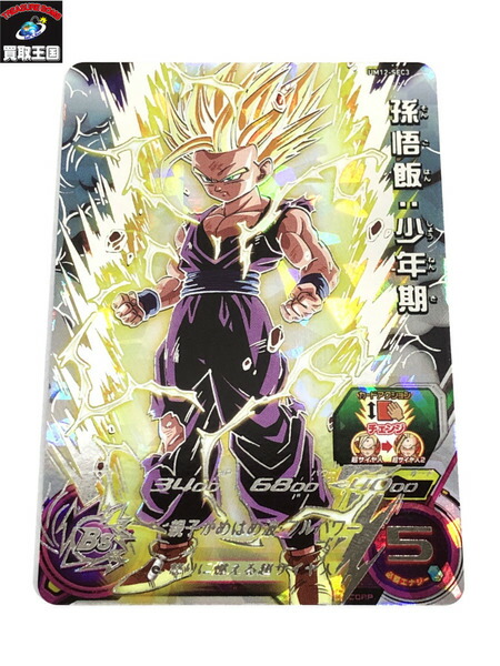 孫悟飯 少年期 Um12 Sec3 ドラゴンボールヒーローズ 中古 Psicologosancora Es