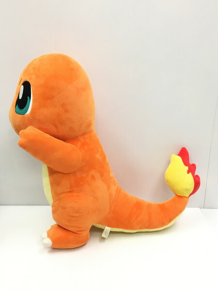 ポケモン ヒトカゲ 等身ぬいぐるみ 中古 Lindsaymayphotography Com