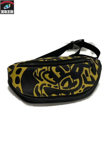 コーチMICKEY x KEITH HARING ストライプサングラスケース Coach Keith Haring | eBay