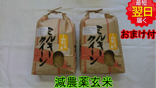 令和７年産　山形県産ミルキークイーン 玄米10ｋｇ特別栽培米 送料無料 ※北海道、沖縄は発送見合わせております。｜米　通販　厳選米本舗