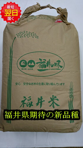 保証書付 令和２年産 福井県産 減農薬米 いちほまれ 玄米 30kg もしくは精米無料 北海道 沖縄は発送見合わせております 米 通販 厳選米本舗 楽天ランキング1位 Unma Ac Id