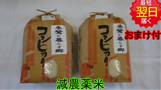 令和７年産 朱鷺と暮らす郷　新潟佐渡産コシヒカリ　減農薬米　10kg(白米または玄米) 送料無料 ※北海道、沖縄は発送見合わせております。｜米　通販　厳選米本舗