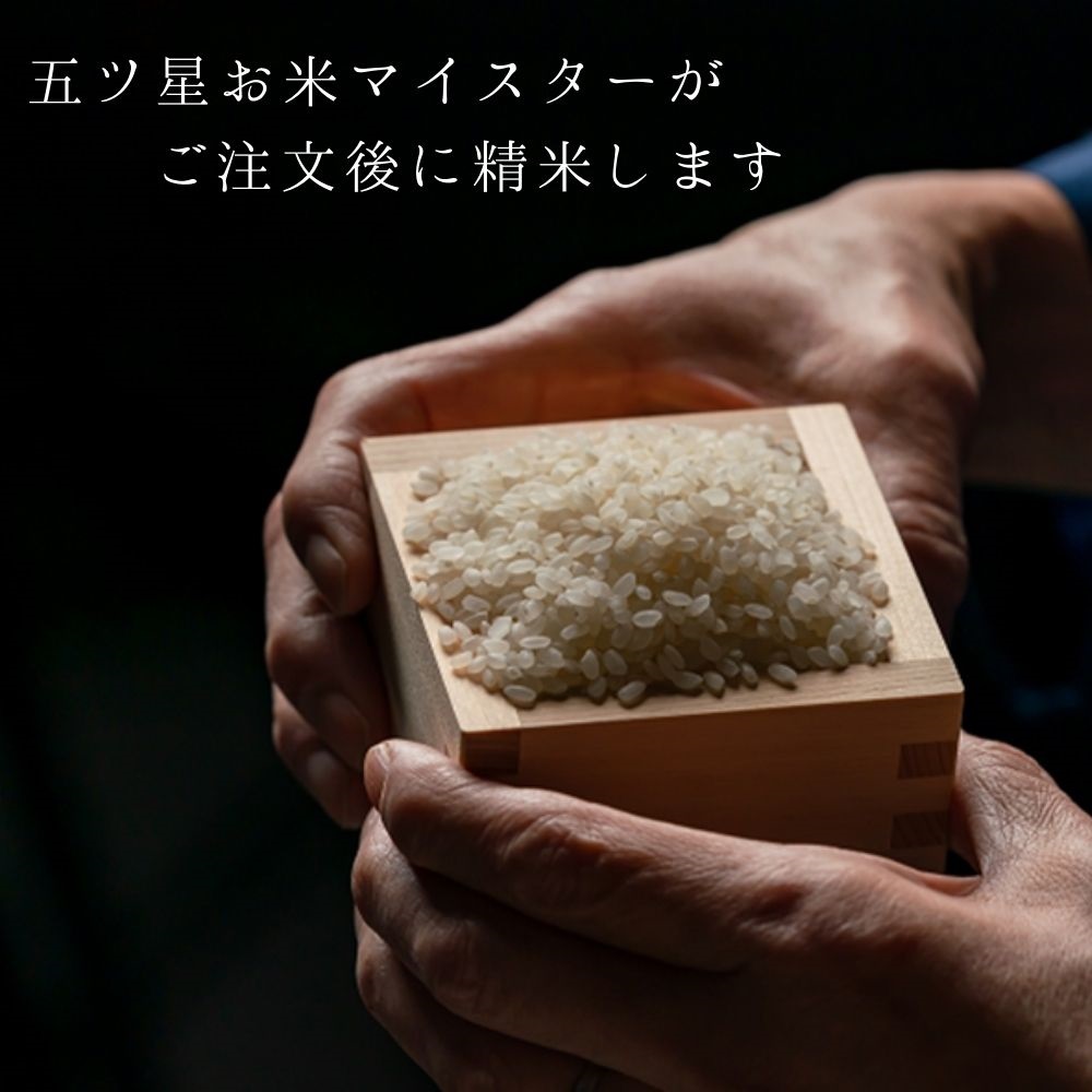 令和４年新米　ミルキープリンセス　酵素米　玄米５Kg「標準白米に精米」