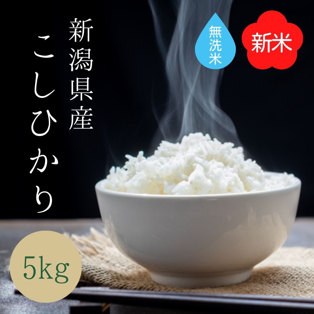 流行のアイテム 新米コシヒカリ20kg茨城産◉無洗米 白米対応