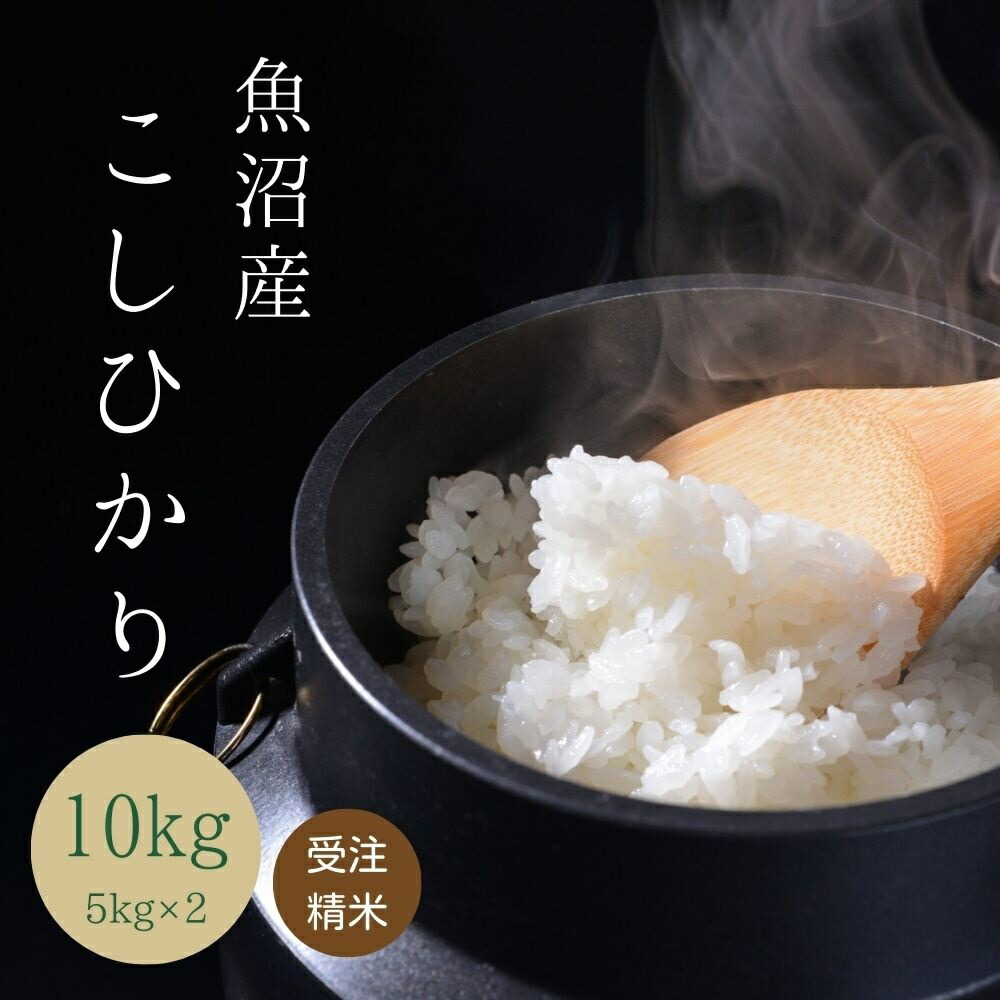 コシヒカリ10キロ　令和5年　はざかけ米　群馬県産　送料込み　残り3袋　お早めに コシヒカリ10キロ 令和5年 はざかけ米 群馬県産 送料込み