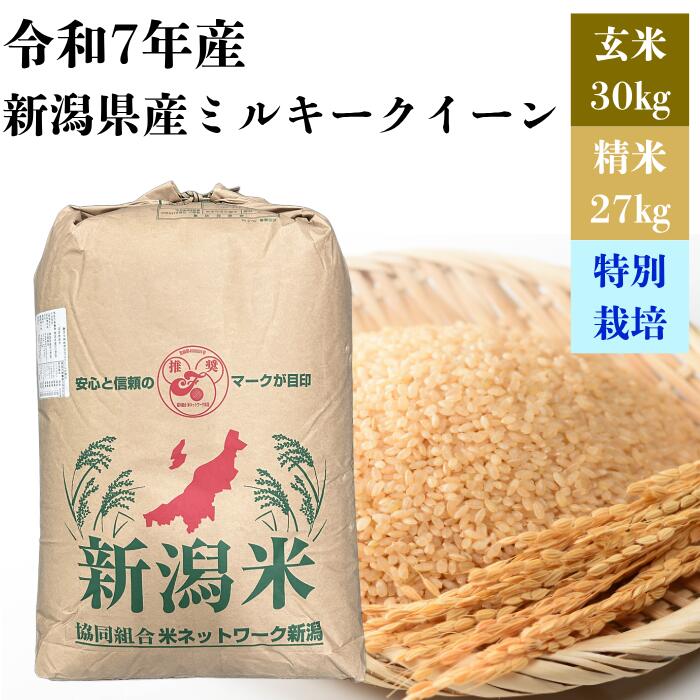 【送料無料】お米 米 ミルキークイーン 30キロ 令和7年産 特別栽培 新潟県産 ミルキークイーン 1等米 玄米30キロ 精米27キロ｜相馬屋