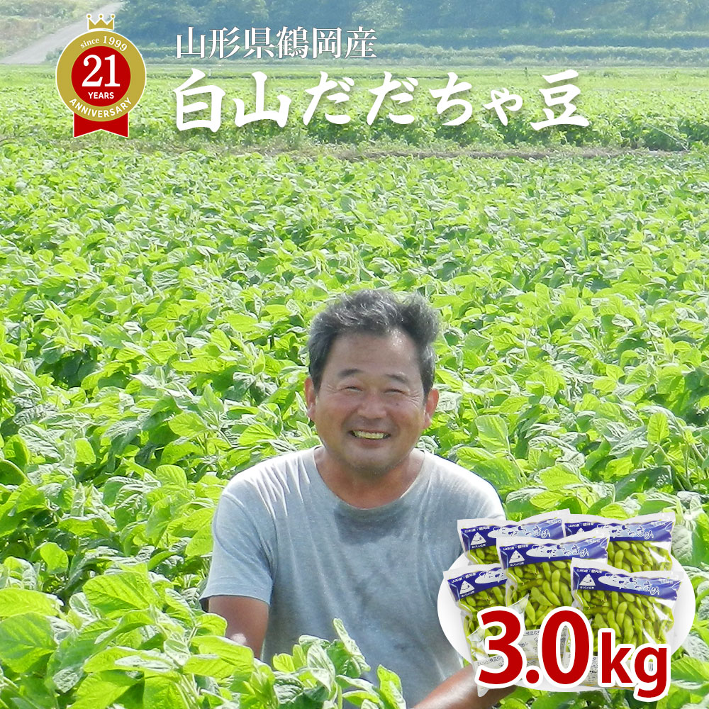 8月上旬発送予定 白山 だだちゃ豆 3kg 600g 5袋 山形県鶴岡産 枝豆 えだまめ 送料無料 沖縄は別途送料追加 Bouncesociety Com