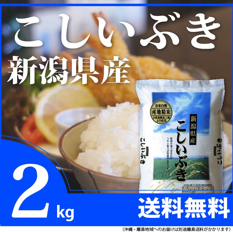 信頼 氷温熟成南魚沼産こしひかり パックご飯180g×12 全12回 fucoa.cl