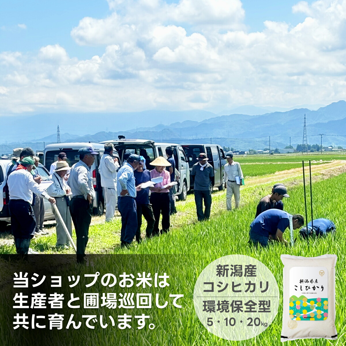 新潟 コシヒカリ 送料無料 5kg 10kg 20kg 産地直送 白米 精米 米杜氏 お取り寄せ ギフト 贈り物 5キロ 10キロ 20キロ こしひかり 生産者 こめ コメ お歳暮 お中元 新潟産 お米 令和6年産 新米 安い