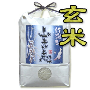 【令和７年産】【送料無料（一部地域を除く）】復興！新潟山古志産コシヒカリ&ldquo;玄米&rdquo;　１０kg（５kg&times;２袋）　新潟から産地直送でお届けします♪｜越後米Life