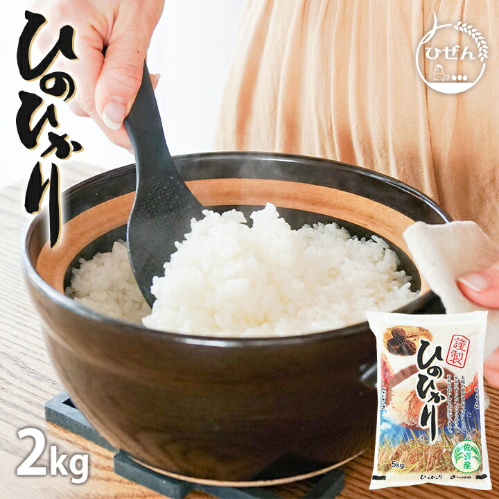 送料込み 精米済み 白米 20kg 6年度産 佐賀県産米