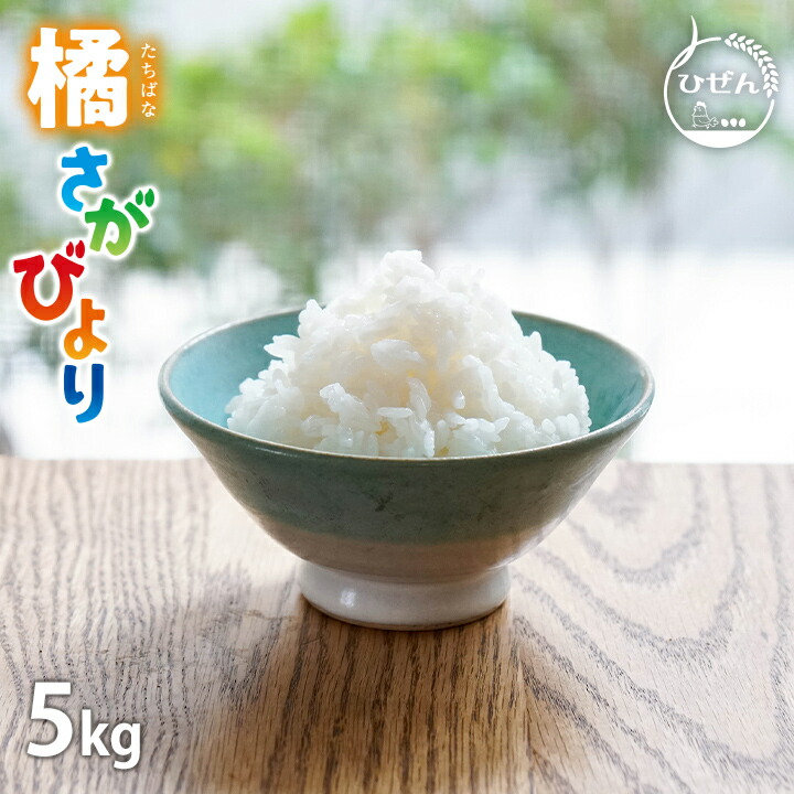 送料込み 精米済み 白米 20kg 6年度産 佐賀県産米 - メルカリ