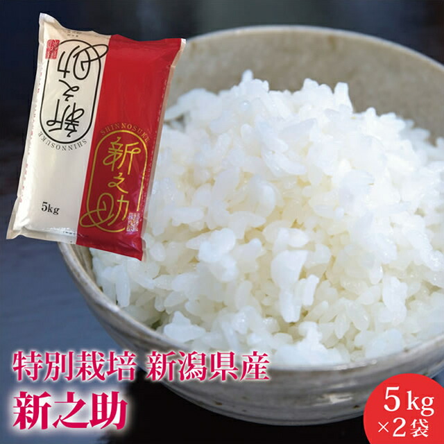 送料無料 特別栽培　新之助10kg 新潟産　産地直送米