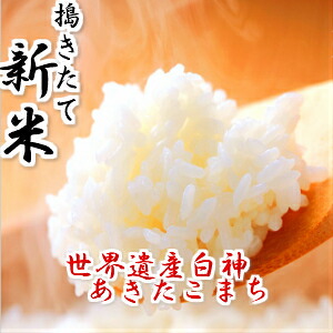 楽天市場】新米 我が家で育てたお米です 令和5年産 米 30kg 送料無料