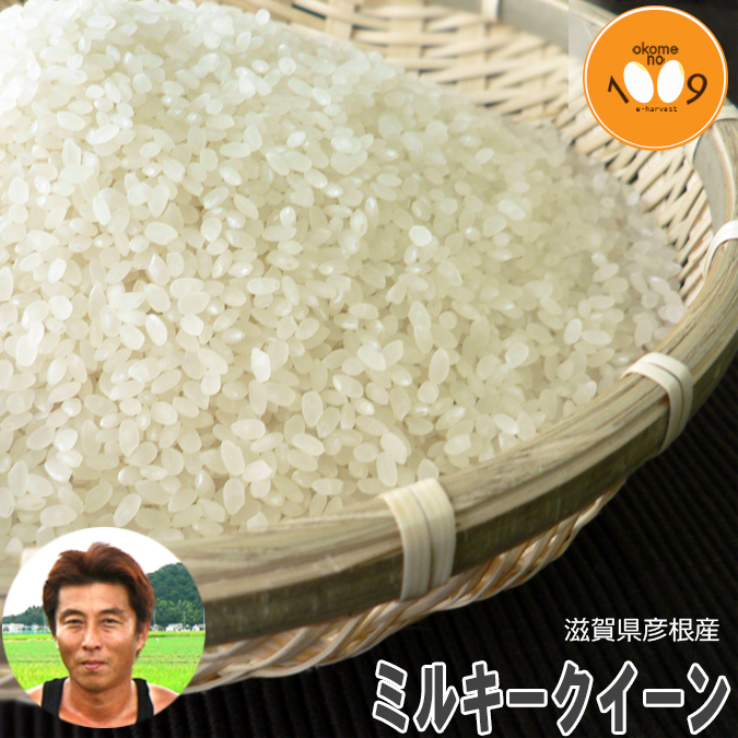 楽天市場】新米 滋賀県彦根産 ミルキークイーン 玄米 西村悟 令和5年産