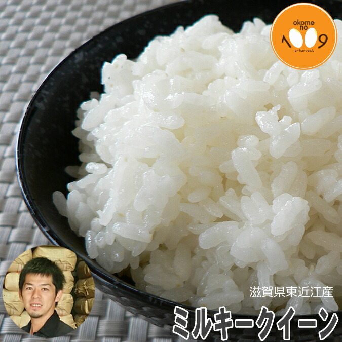 滋賀県産ミルキークィーン令和6年産玄米10Kg ミルキークイーン 白米 玄米 10kg (5kg×2袋) 令和6年 滋賀県産